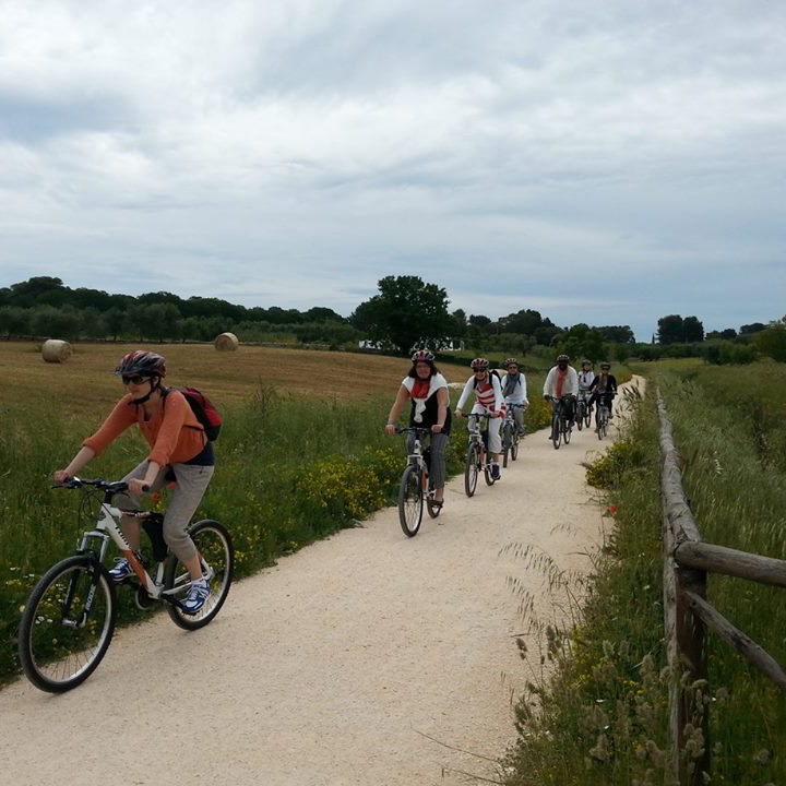 bikes2